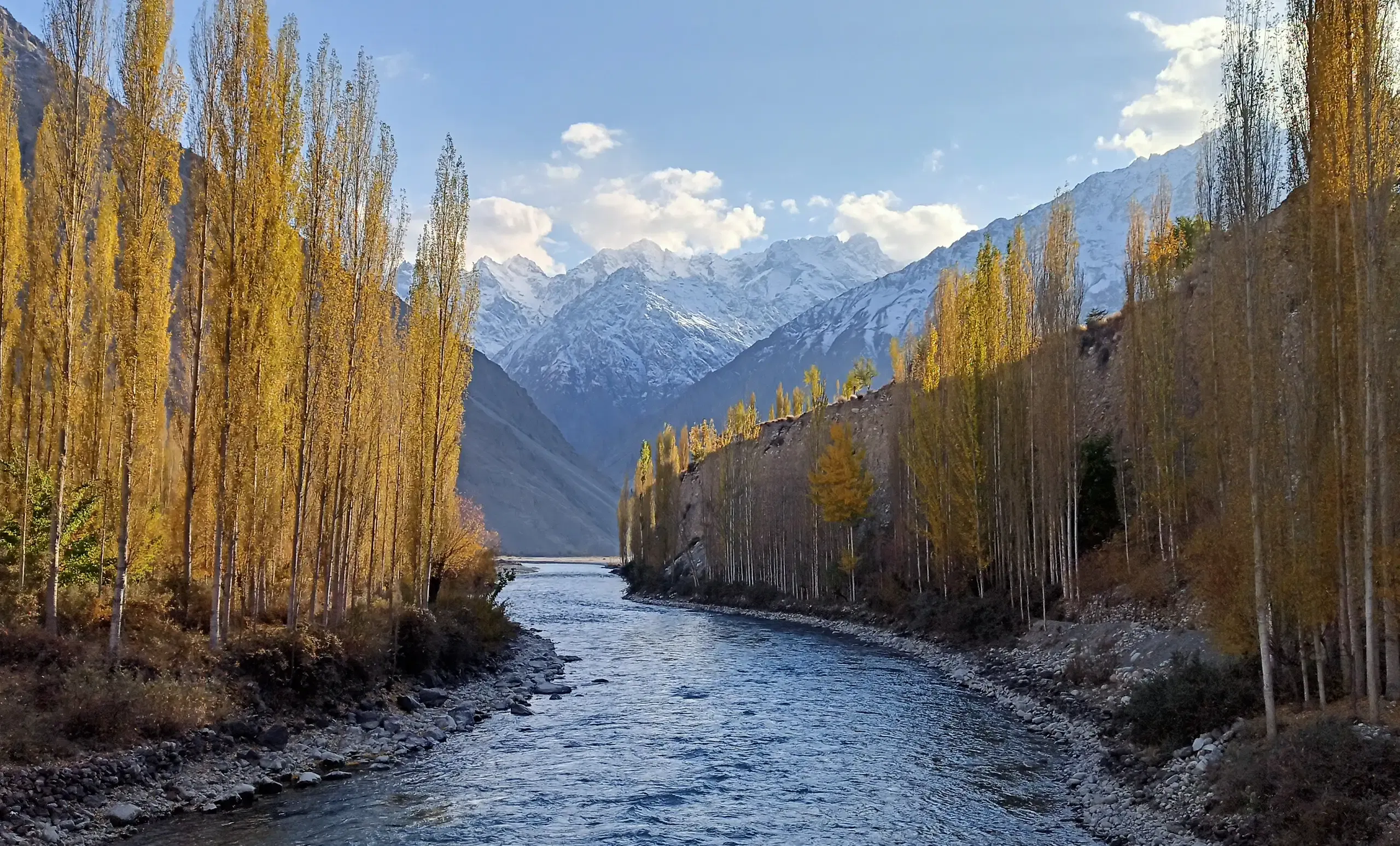 Autumn poplars along a river below snow-covered peaks in northern Pakistan.